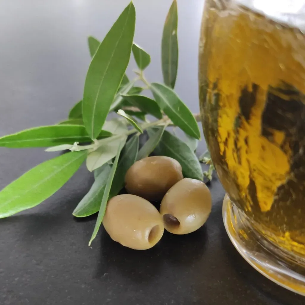 Olivenzweig und Glas mit Tee zur Veranschaulichung natürlicher Prävention.